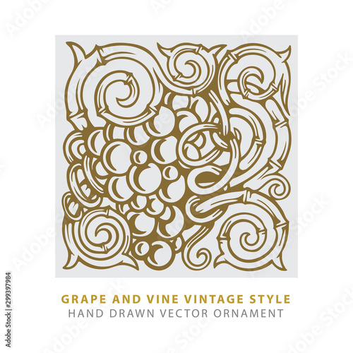Grapes. Grape and vine engraving style hand drawn vector illustration. Grape and vine ornament. Part of set. 