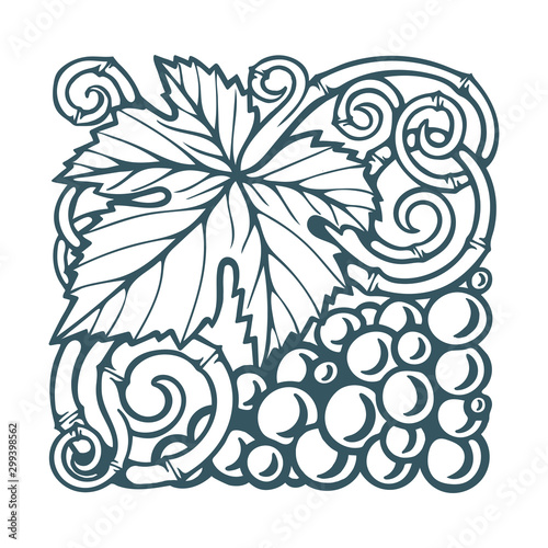 Grapes. Grape and vine engraving style hand drawn vector illustration. Grape and vine ornament. Part of set. 