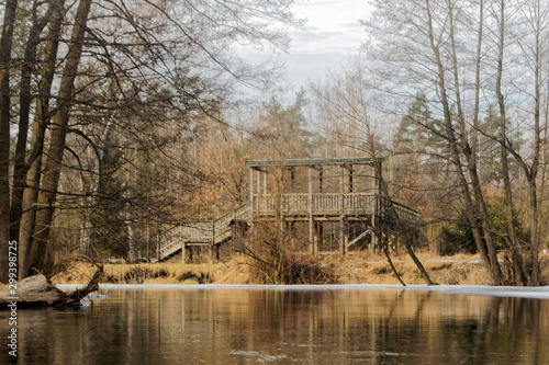 Fototapeta Naklejka Na Ścianę i Meble -  Tarasy widokowe w Lesie Ochronnym Szast nad rzeką Pisą, Pisz, Mazury