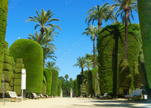 Genovese green garden in Cadiz, Andalusia, Spain photo