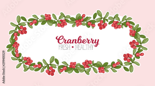 Cranberry. Element for design. Good for product label. Colored vector illustration