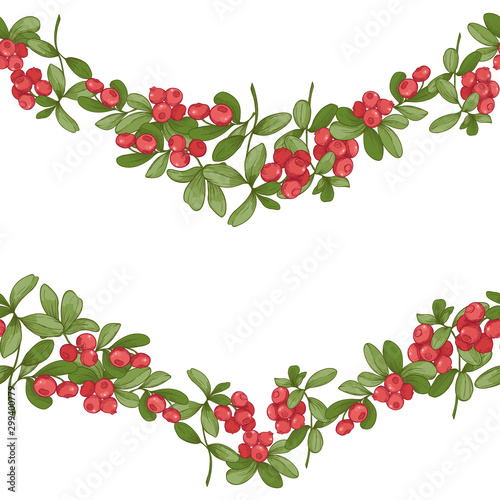 Cranberry. Seamless pattern, background. Graphic drawing, engraving style. Vector illustration isolated on white background