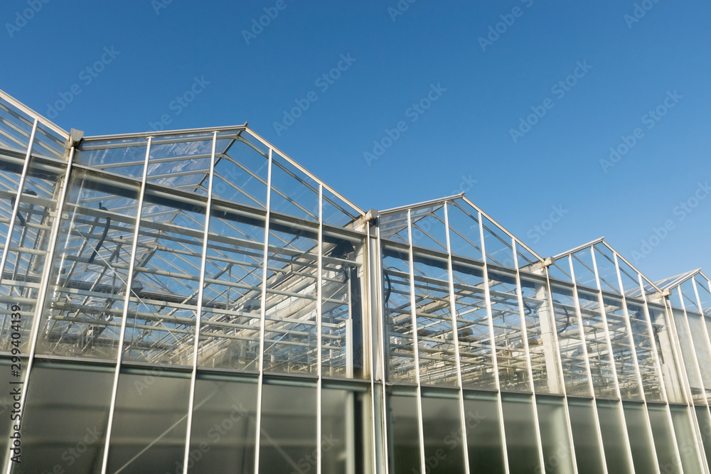 Glass transparent walls of the greenhouse with pipes and communications for growing plants, vegetables and fruits Glass transparent walls of the greenhouse with pipes and communications for growing plants, vegetables and fruits