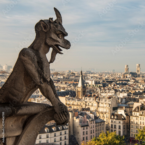 Gargoyle, Notre Dame Cathedral, Paris © R Kevin Collins