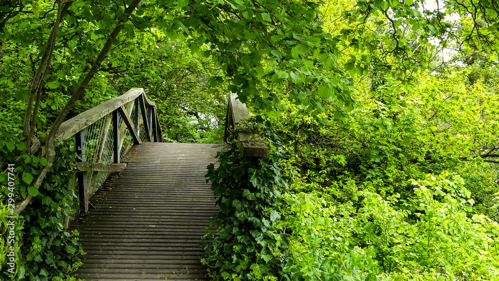 Seldom used, partially overgrown, wooden footbridge. Unoccupied, with ivy (hedera) over posts and canopy of verdant green foliage. Space for copy. England