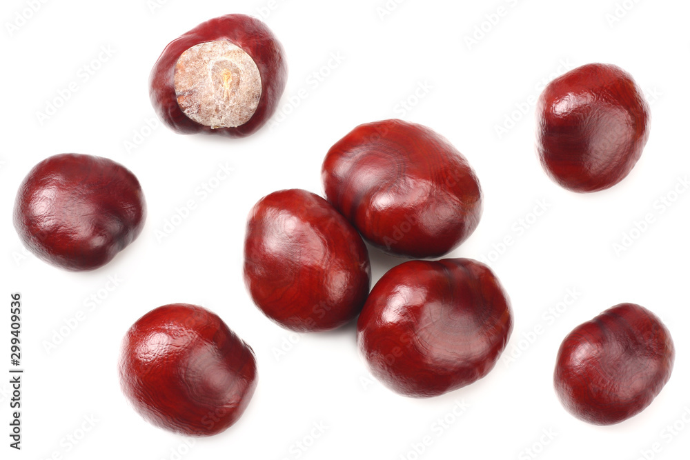 chestnuts isolated on white background. top view chestnuts isolated on white background. top view