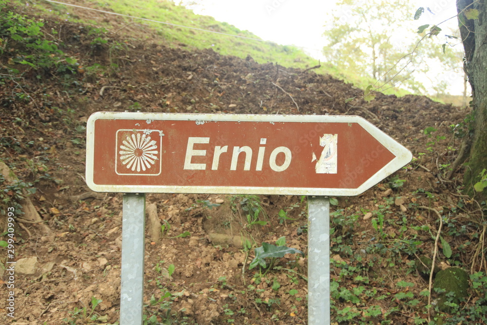 Caseio Ernio