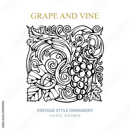 Grapes. Grape and vine engraving style hand drawn vector illustration. Grape and vine ornament. Part of set. 