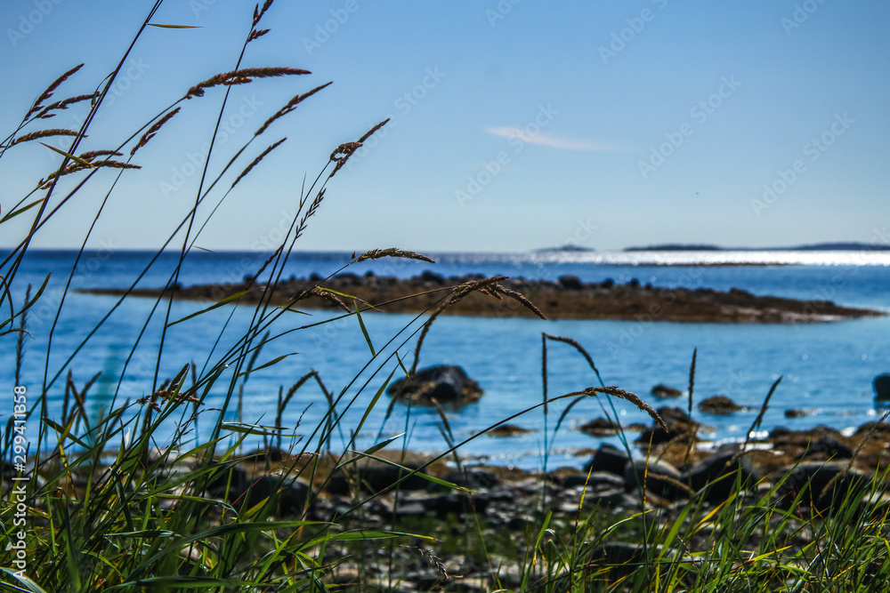 Fototapeta premium Beautiful coast of the White Sea at sunset. Russian North, Murmansk region, Kandalaksha. Luwenga.