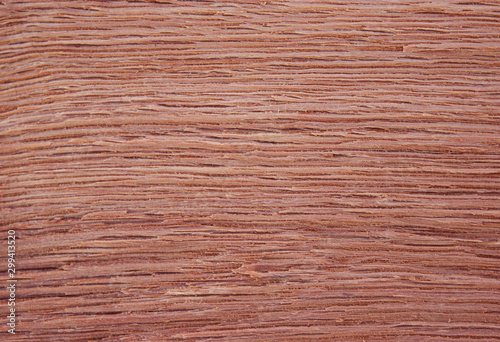 not polished oak, grunge wood pattern texture