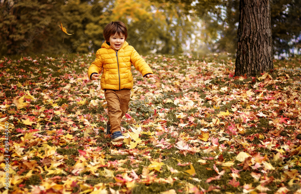 Happy toddler boy running happily on bright fallen autumn colorful yellow and pink leaves in park. Carefree childhood. Enjoying autumn season. Welcome autumn Happy toddler boy running happily on bright fallen autumn colorful yellow and pink leaves in park. Carefree childhood. Enjoying autumn season. Welcome autumn