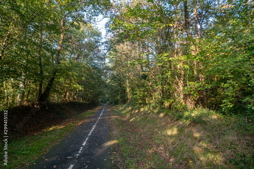 Fototapeta premium piste cyclable