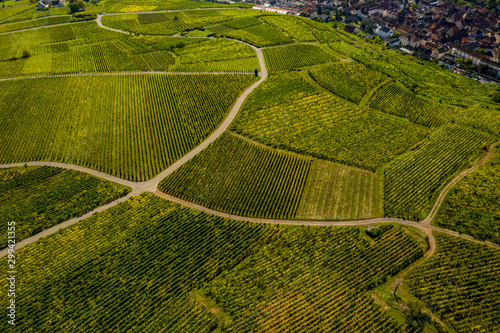 An aerial panorama of Ribeauvillé (France) with vineyards