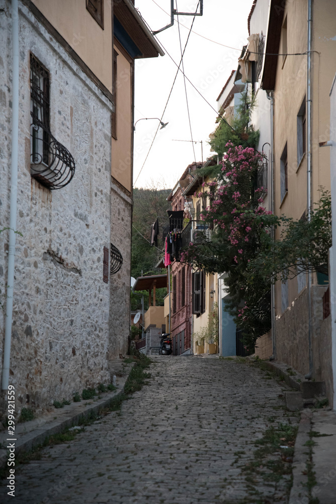 Fototapeta premium narrow street in old town