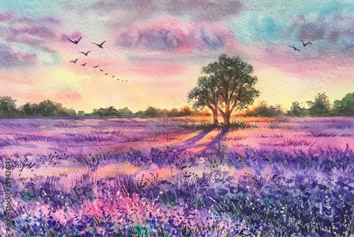 Watercolor lavender field summer spring sunset landscape. Violet background. France Provence. Spring summer postcard banner. Fragrant flowers. Aroma photo