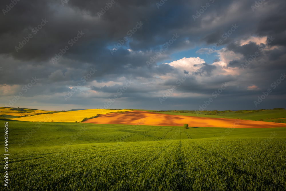Moravian fields in spring time, green and yellow landscapes in Czech Republic has awesome structure