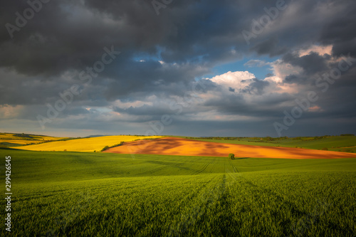 Moravian fields in spring time  green and yellow landscapes in Czech Republic has awesome structure