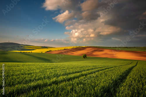 Moravian fields in spring time  green and yellow landscapes in Czech Republic has awesome structure