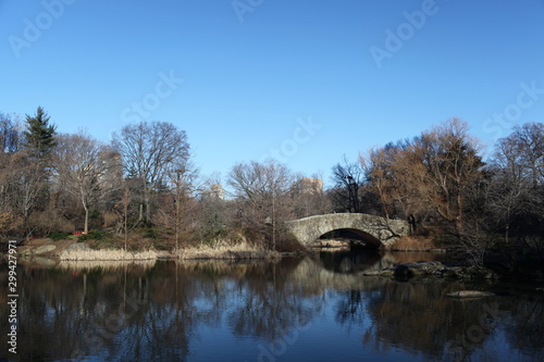 Reflection in the Pond in NYC Central Park with Gapstow Bridge in Fall