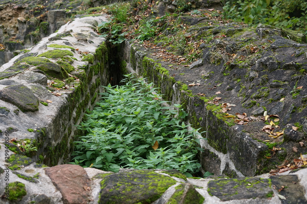 Ausschnitt der historischen Stadtmauer von Wissembourg