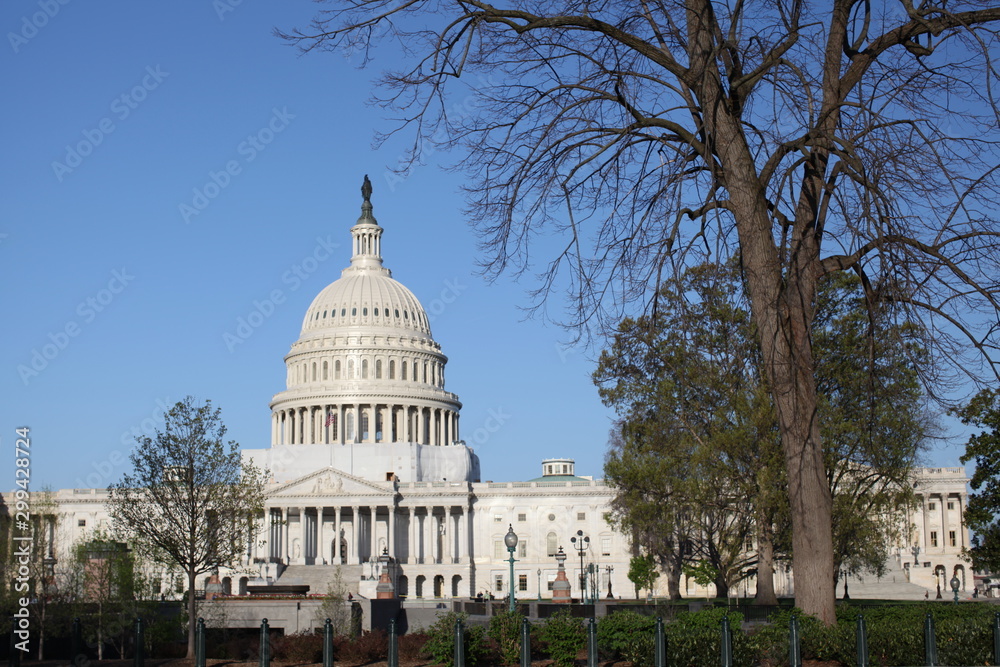 Naklejka premium US Capitol Building in Spring with trees