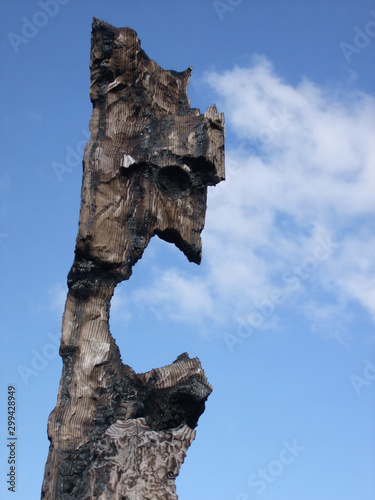 One of the stran scupltured figure we have been finding after forest fires. Some remind us of Tiki  gods.