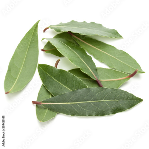 Tela Aromatic bay leaves