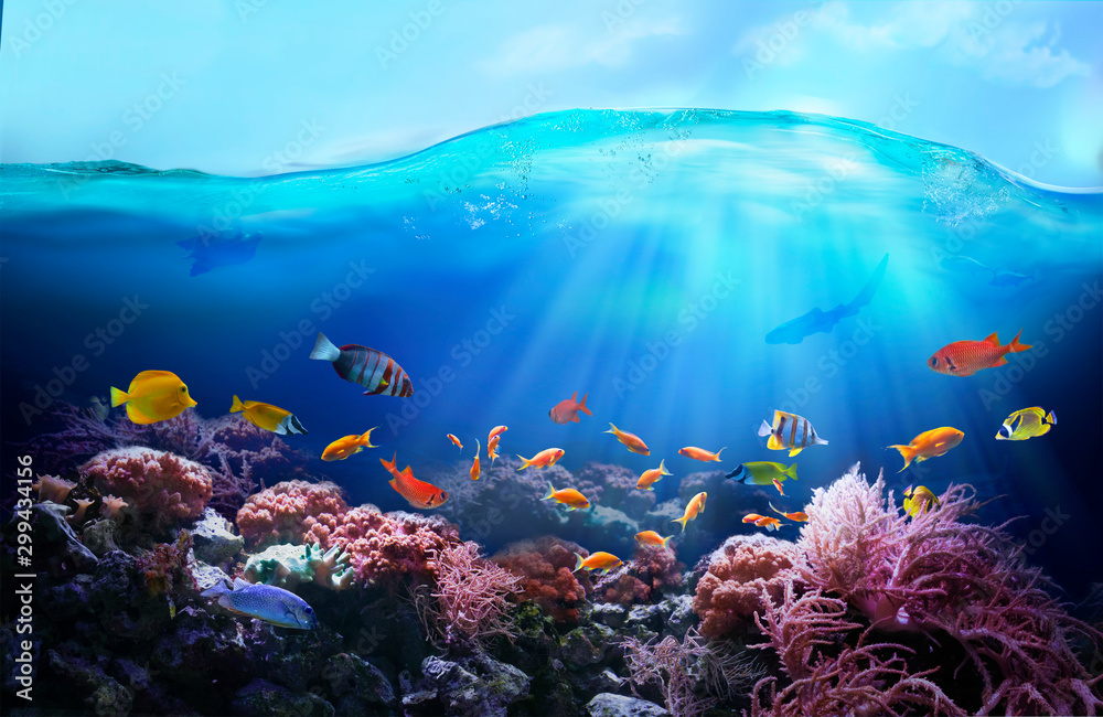 Fototapeta Bogate kolory rafy koralowej. Podwodny świat morski. Kolorowe ryby tropikalne. Ekosystem