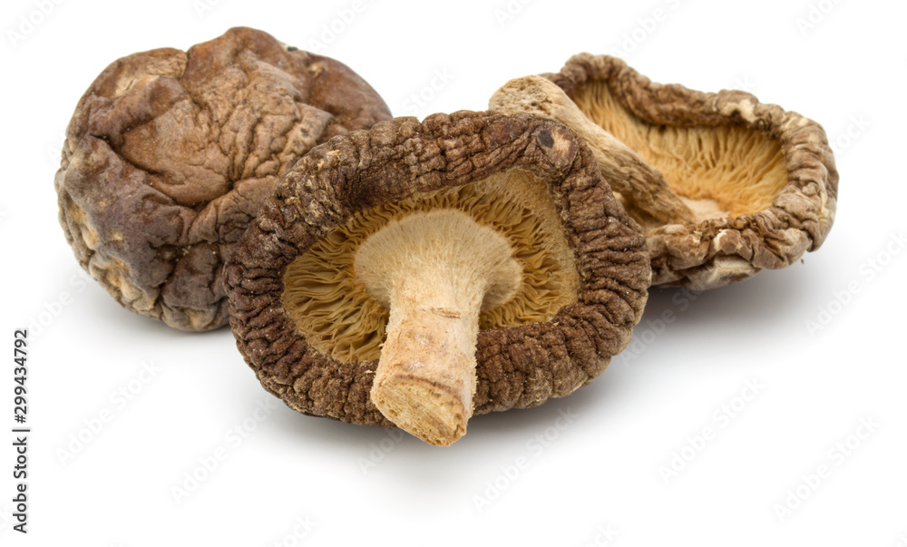 Dried Shiitake Mushroom isolated on white background Dried Shiitake Mushroom isolated on white background