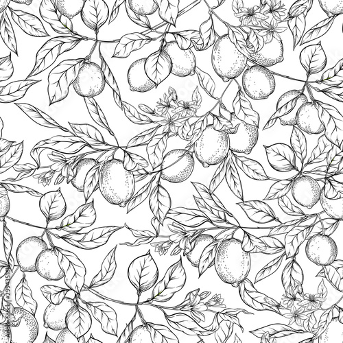 Lemon tree branch with lemons, flowers and leaves. Seamless pattern, background. Outline hand drawing vector illustration in black, white colors.