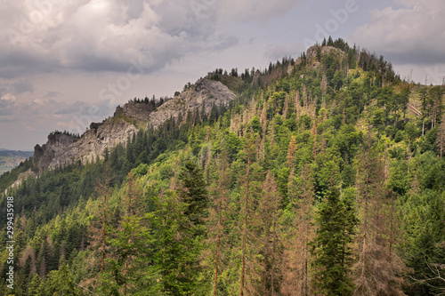 Nosal mountain in Kuznice near Zakopane. Poland