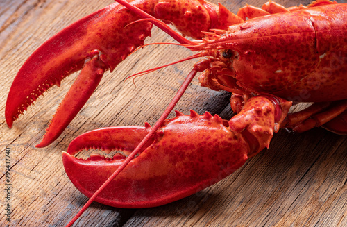 Steamed lobster seafood on wood background photo