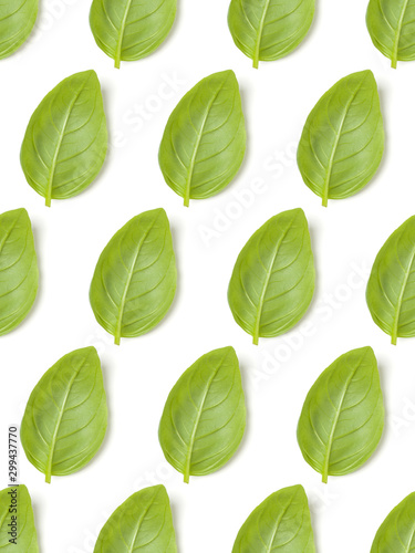 Sweet Basil herb leaves isolated on white background closeup. Flat lay, top view. Seamless pattern.