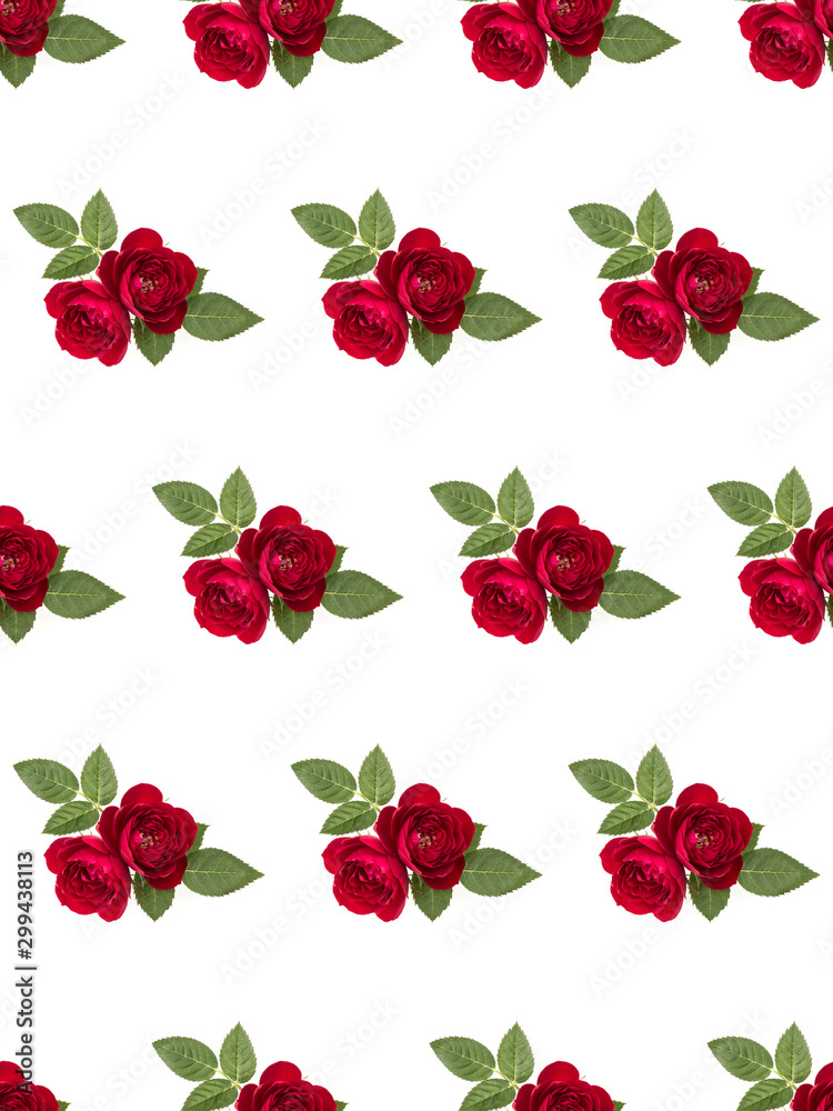 two red rose flowers isolated with leaves on white background cutout. Floral seamless pattern. two red rose flowers isolated with leaves on white background cutout. Floral seamless pattern.