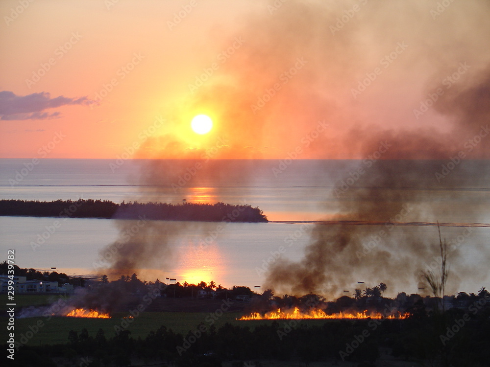 Fototapeta premium Sonnenuntergang mit bernnendem Zuckerrohr Feld auf Mauritius