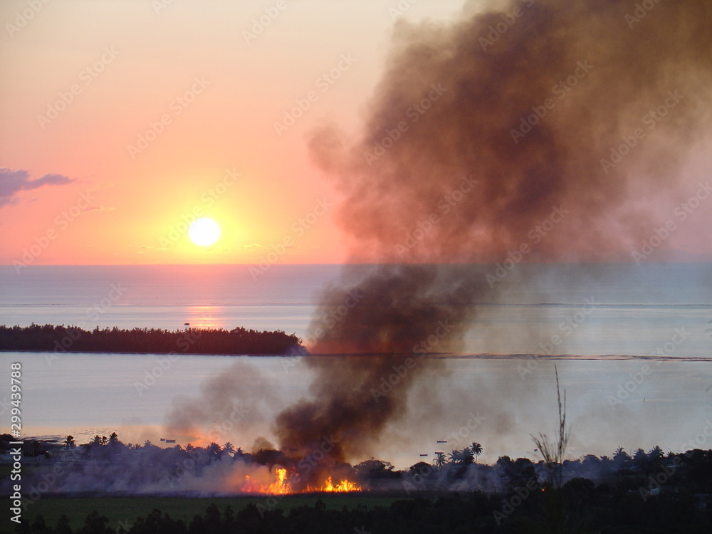 Sonnenuntergang mit bernnendem Zuckerrohr Feld auf Mauritius