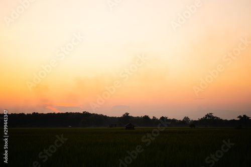 Silhouette sunset or sunrise colorful,orange color