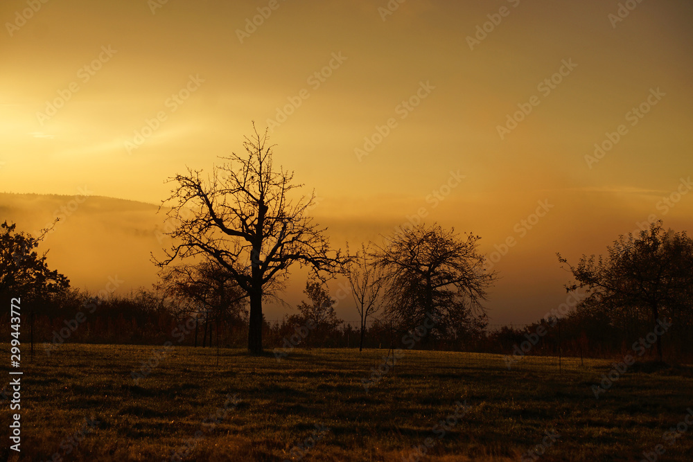 Fototapeta premium Sonnenaufgang über dem Schwarzwald; Flussnebel steigt vom Tal auf 
