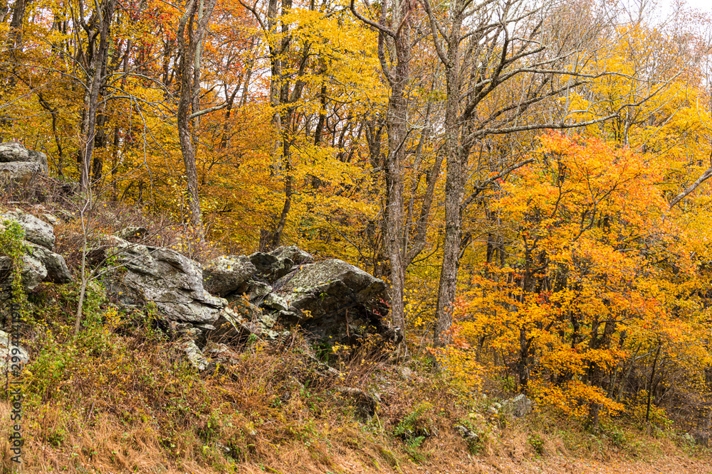 Rocks Along Skyline Drive in the Shenandoah National Park, Virginia. Rocks Along Skyline Drive in the Shenandoah National Park, Virginia.