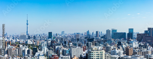 Fotografie, Obraz (東京都-風景パノラマ)展望台から望む墨田方面の風景１