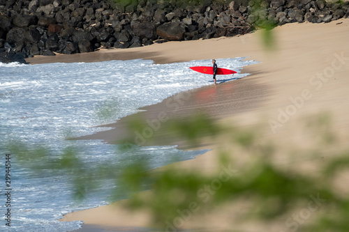 Big wave surfer stands on the sandy beach and going to enter the ocean at the famous Waimea Bay surf spot located on the North Shore of Oahu in Hawaii