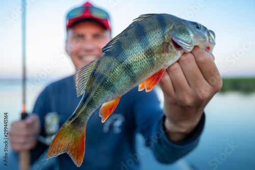 Young amateur angler holds perch fish (Perca fluviatilis) and smiles being on the lake