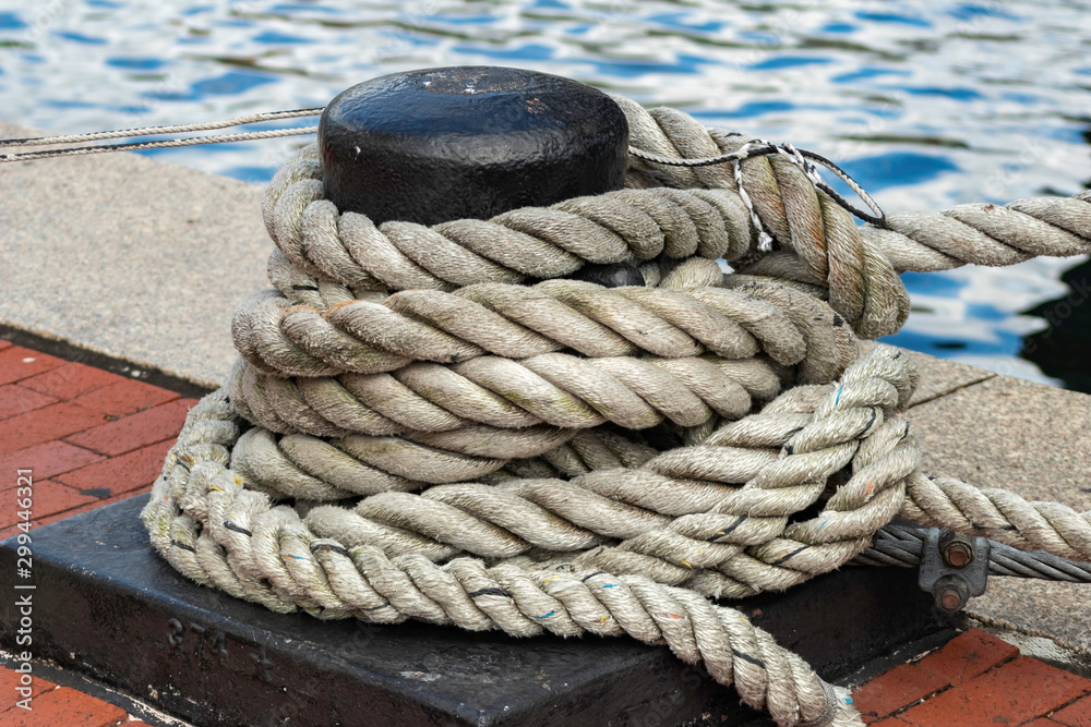 Fototapeta premium Dock rope