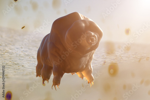 Tardigrada on light background 3D render photo