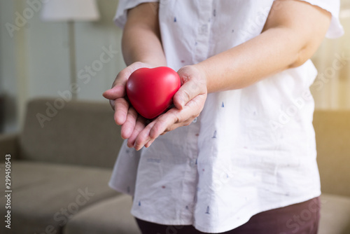 Red heart model on senior woman hands,Health Care and cardiology concept