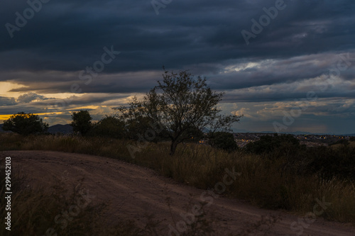 Paisaje de   rbol con cielo nublado y camino de tierra