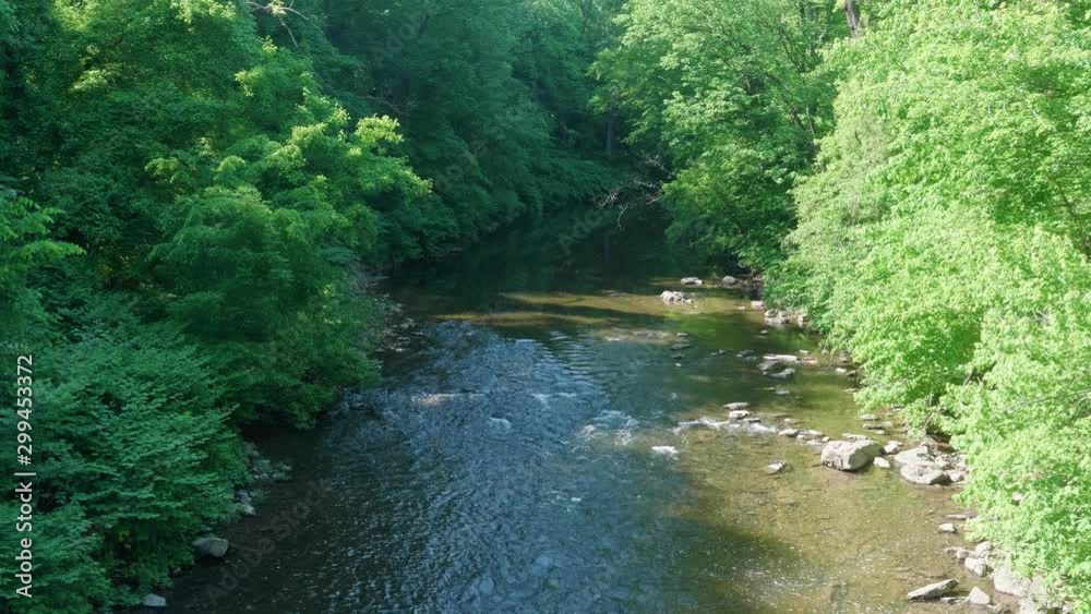 Calm water flows by trees at Wissahickon Creek Calm water flows by trees at Wissahickon Creek