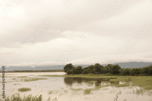 Landscape reflection