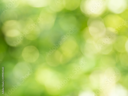 abstract green nature background