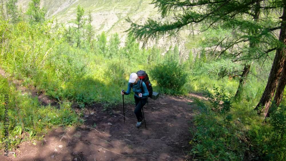 A tourist woman walks with her backpack and poles up the mountain path in the forest in a national park. A view from behind. 4k slow motion footage. A tourist woman walks with her backpack and poles up the mountain path in the forest in a national park. A view from behind. 4k slow motion footage.